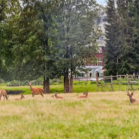 Schoenes Direkt Am Schwarzwildgehege * ベンネッケンシュタイン