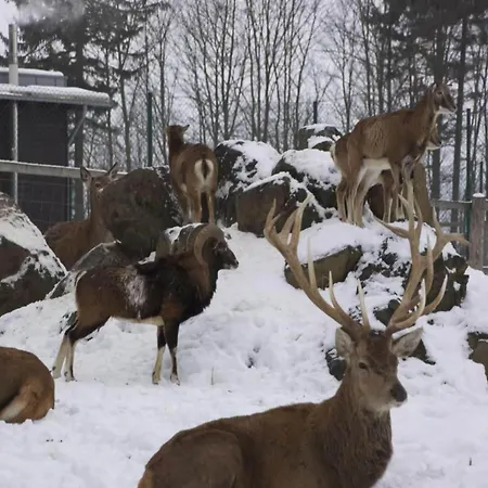 Schoenes Direkt Am Schwarzwildgehege 別荘